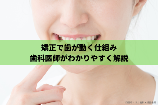 261歯の溝が黒い原因は虫歯？予防・対処方法も歯科医師が解説